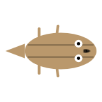 Back Leg Length: Mid