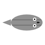 Body Colour (RGB): Grey