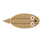 Eyes: Mid