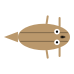Front Leg Length: Long
