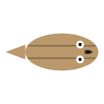 Mouth Size: Mid