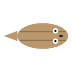 Mouth Size: Small