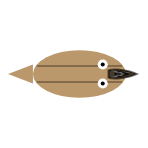 Mouth Type: Scavenger