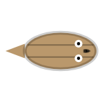 Shell Strength: Weak