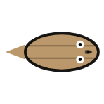 Shell Width: Mid