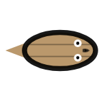 Shell Width: Thick