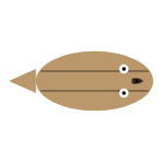 Size: Large