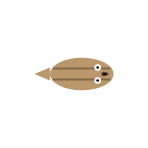 Size: Mid