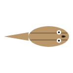 Tail Length: Long